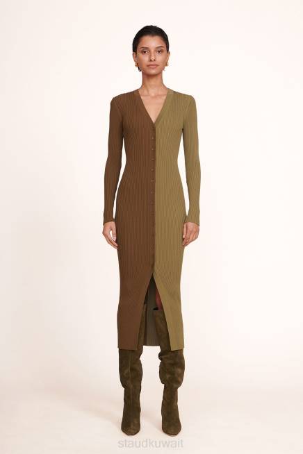 زيتون الأفوكادو