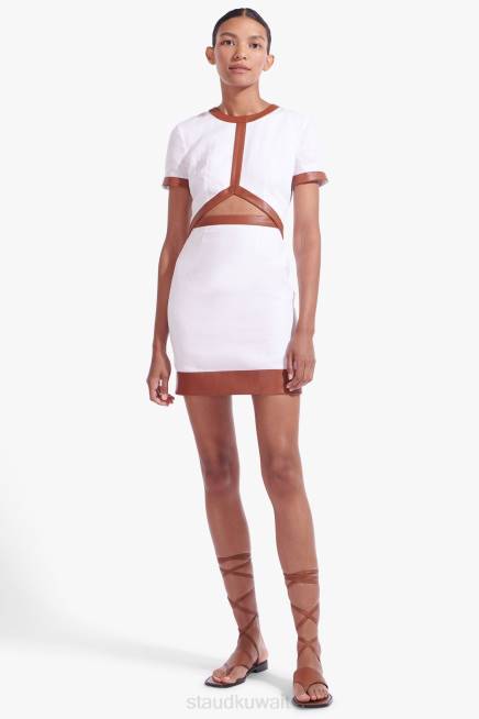 الويسكي الأبيض